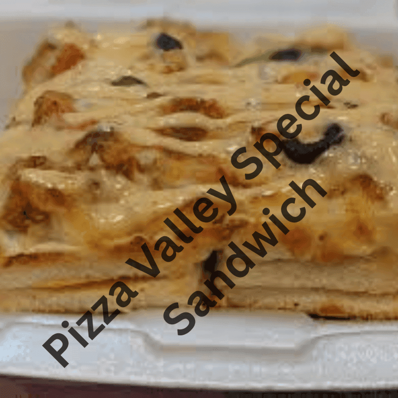 Pizza Valley Special Sandwich